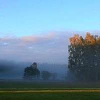 Podzimní mlhy