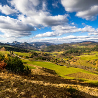 Pieniny