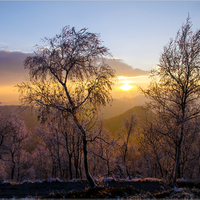 západovka z Jedlové