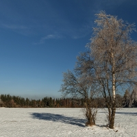 Pocukrováno :-)