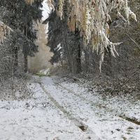 Karkulčina zimní cesta