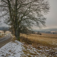 Šumava