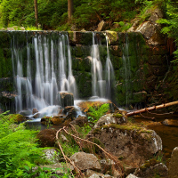 Potok Kamenice nad Harrachovem