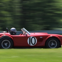 AC Cobra (a real one...)