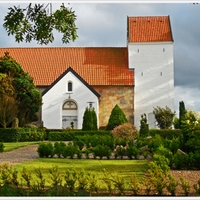 Dánský kostelík.