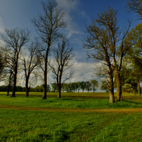 Mošovské aleje