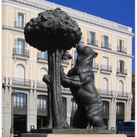 Symbol Madridu - medvěd a planika