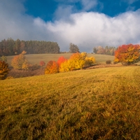 Barvy podzimu