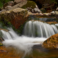 Potok Kamenice nad Harrachovem