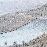 Moravské Toskánsko v zimě