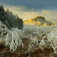 Spišské mrazíkovo