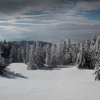 Z Kysuckých Beskyd