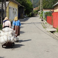 Svou káru táhnem dál..