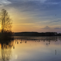 Chomoutovské jezero