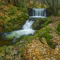 Bílá Opava