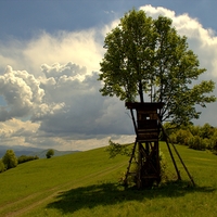 okolo postriežky