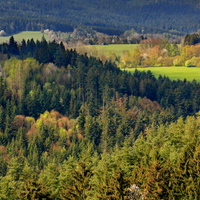 Šumava