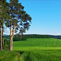 Předšumaví.