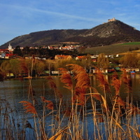 Hrad Děvičky, obec Pavlov