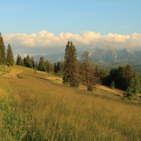 ...Tatry od severu