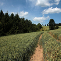 Hlásenský - oprava