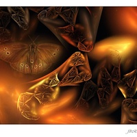 Butterfly fantasy