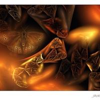 Butterfly fantasy