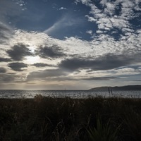 Kapiti Island