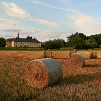 Žně začaly