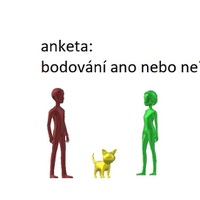 ANKETA - bodování ano nebo ne?