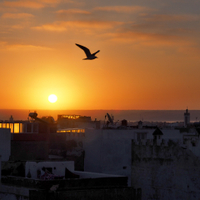 svítání v Essauiře