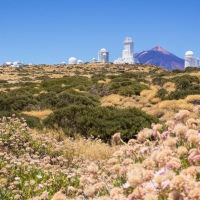 Teide