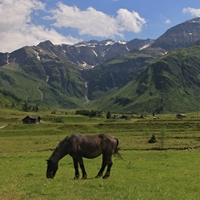 Alpy-Sportgastein