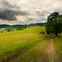 Zataženo