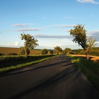 podvečerní stíny