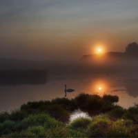 Labutí jezero