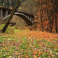 ...podspálovský most....