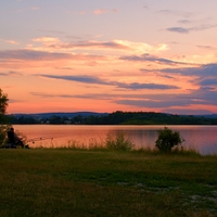 Čekání na zlatou rybku