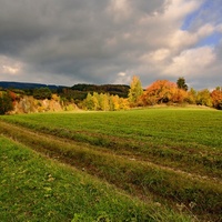 Podzimní den