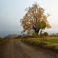 ...podkrkonoší....