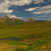 Col Du Petit Bornard