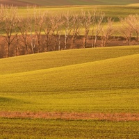 Stáří.