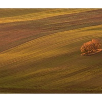 Ostrůvek