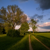 Polňačkou