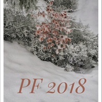 PF 2018