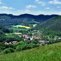 Borač