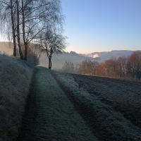 Cesta za světlem