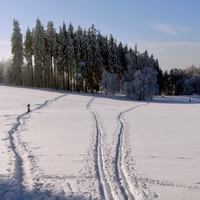 Tři stopy