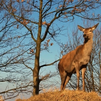 Setkání