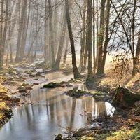 Svítání na řece Stropnice